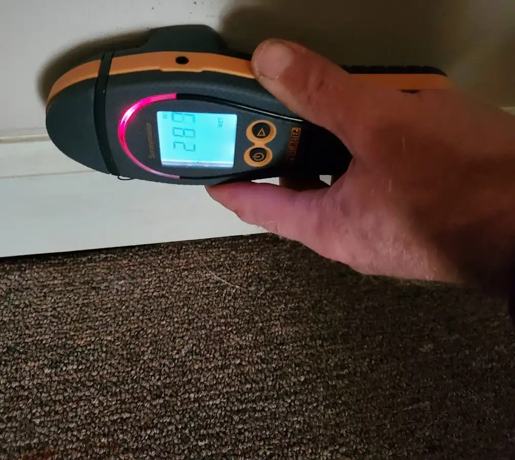 Moisture detection at baseboard during Sewage Cleanup & Sanitation in Chesterfield